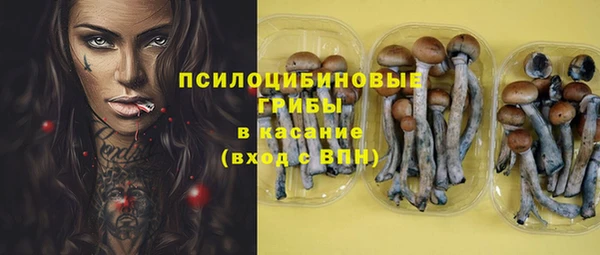 эйфоретик Михайлов