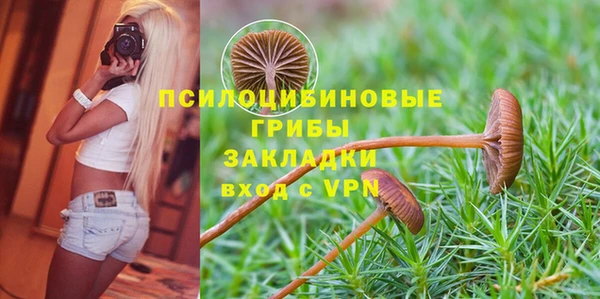 прущий лед Надым