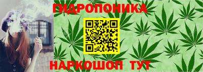 мескалин Заводоуковск