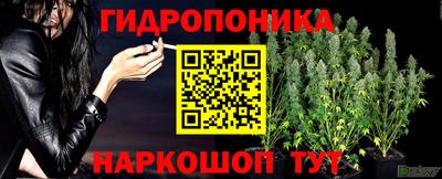 мескалин Заводоуковск