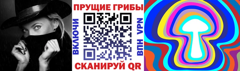 закладка  Старая Купавна  Галлюциногенные грибы MAGIC MUSHROOMS 