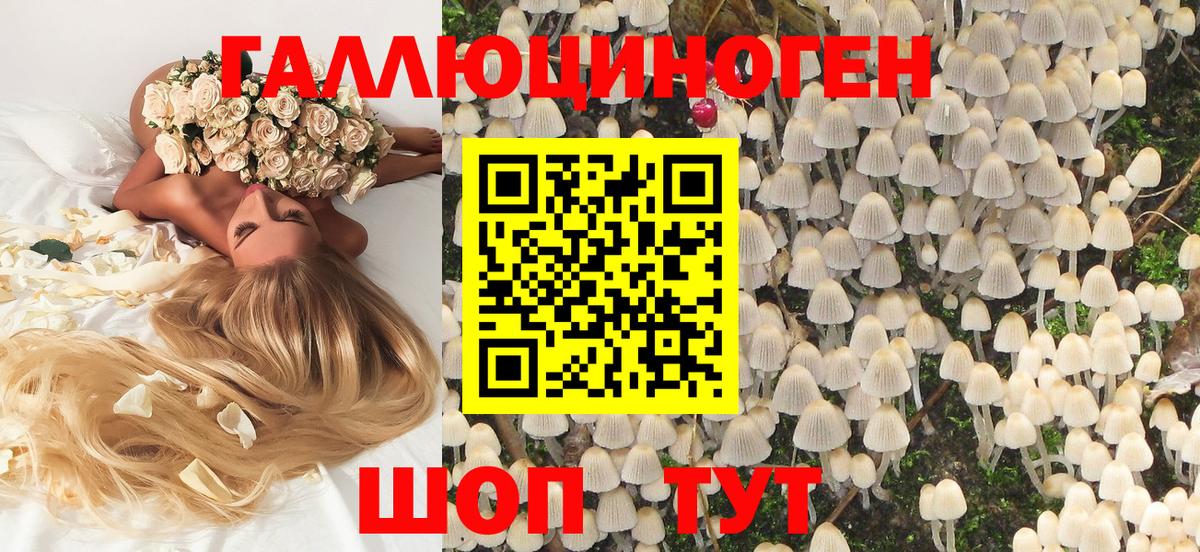 Галлюциногенные грибы GOLDEN TEACHER  где найти наркотики  Галлюциногенные грибы мицелий  Старая Купавна 