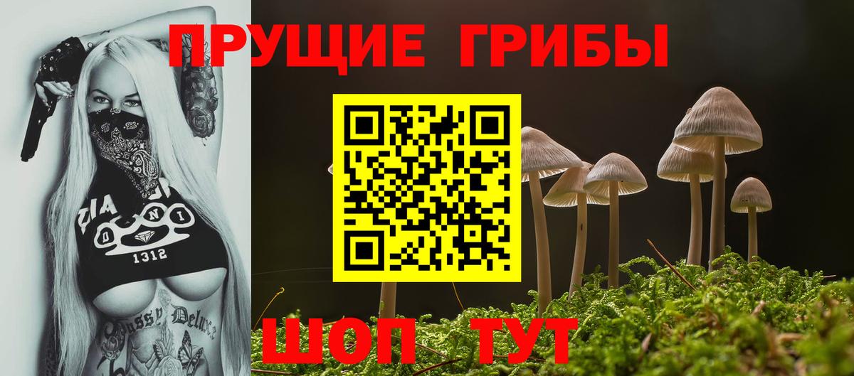 Псилоцибиновые грибы прущие грибы  Псилоцибиновые грибы Cubensis  Вход с VPN  Старая Купавна 