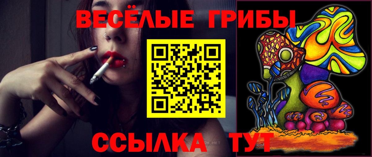 Псилоцибиновые грибы Magic Shrooms Старая Купавна